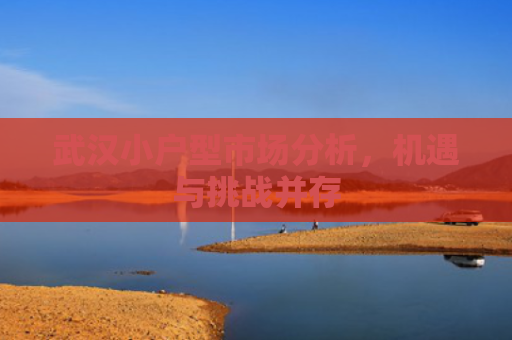武汉小户型市场分析，机遇与挑战并存