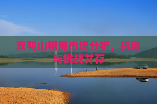 双鸭山租房市场分析，机遇与挑战并存