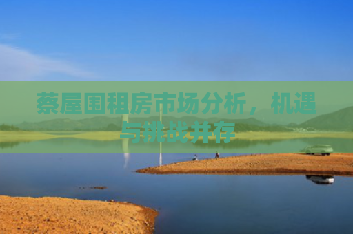 蔡屋围租房市场分析，机遇与挑战并存