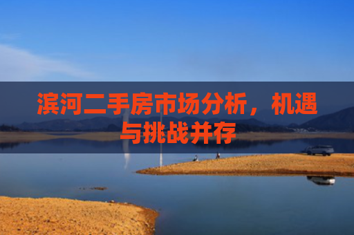 滨河二手房市场分析，机遇与挑战并存