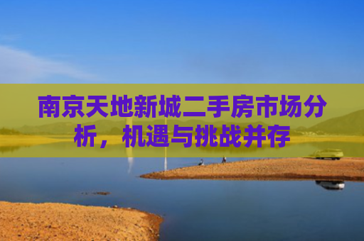 南京天地新城二手房市场分析，机遇与挑战并存