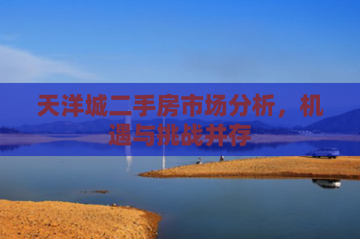 天洋城二手房市场分析，机遇与挑战并存
