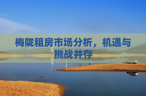梅陇租房市场分析，机遇与挑战并存