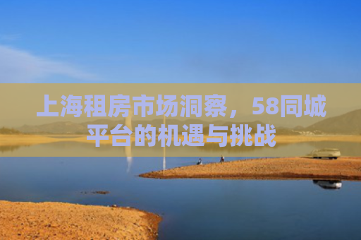 上海租房市场洞察，58同城平台的机遇与挑战