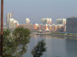 汉沽租房，探索天津滨海新区的居住新选择