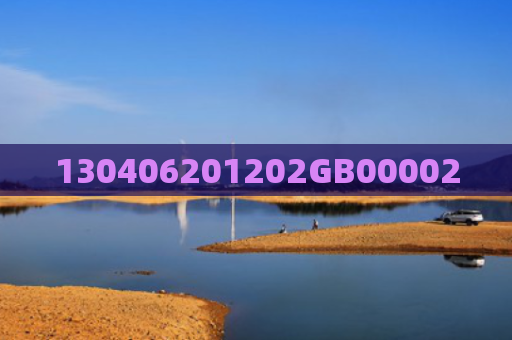 130406201202GB00002