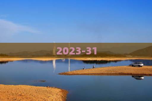 2023-31