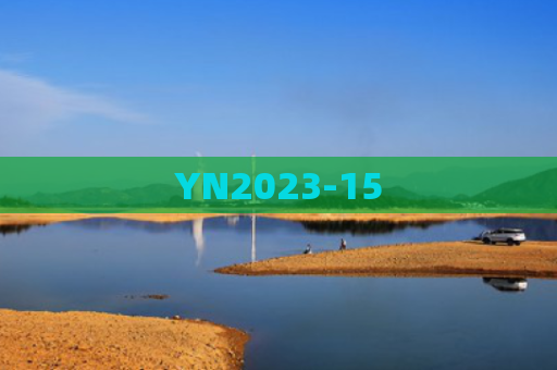 YN2023-15