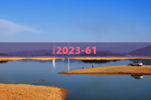 2023-61