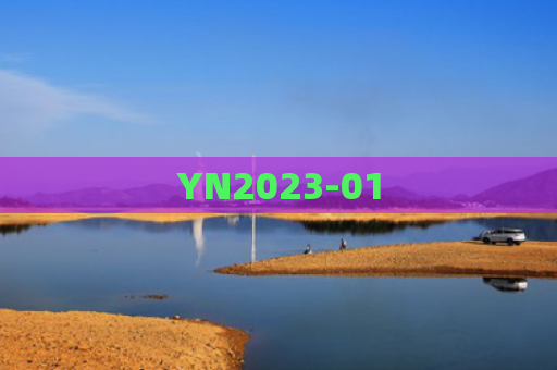YN2023-01