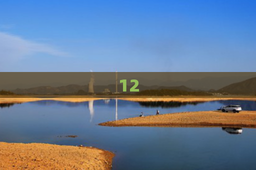 12