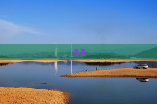 11