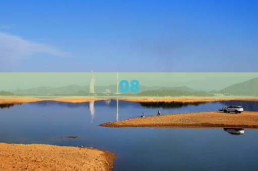 08