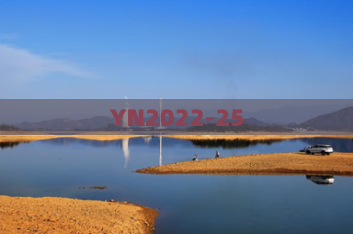 YN2022-25