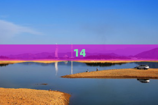 14