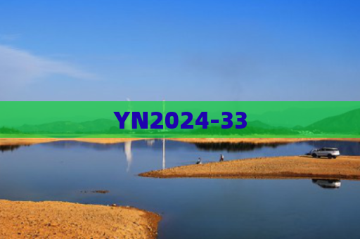 YN2024-33