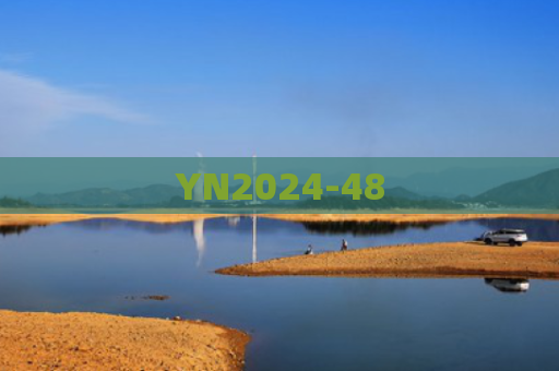 YN2024-48