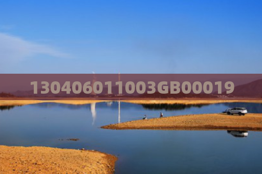 130406011003GB00019
