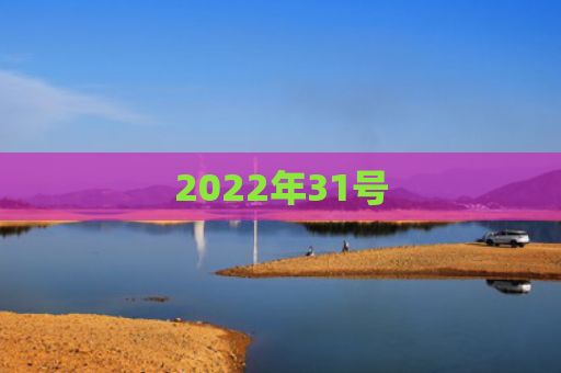 2022年31号