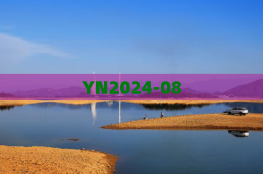 YN2024-08