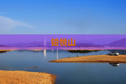 铂悦山