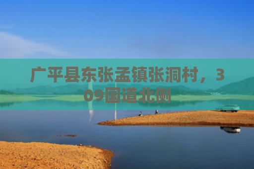 广平县东张孟镇张洞村，309国道北侧