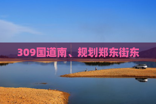309国道南、规划郑东街东
