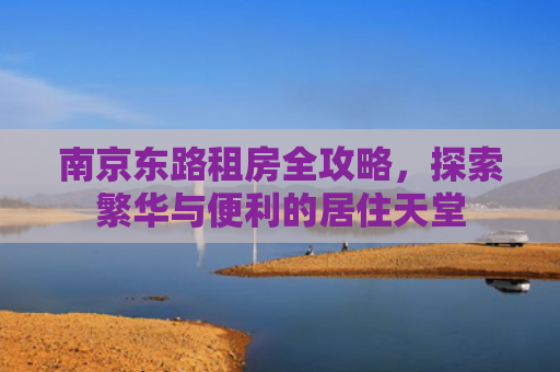 南京东路租房全攻略，探索繁华与便利的居住天堂