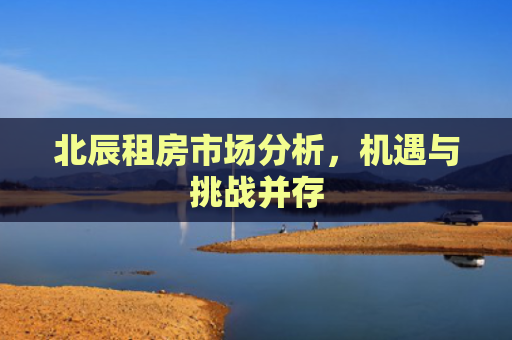 北辰租房市场分析，机遇与挑战并存