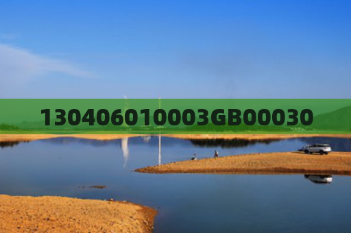 130406010003GB00030