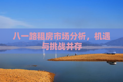 八一路租房市场分析，机遇与挑战并存