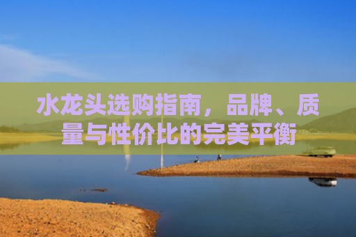 水龙头选购指南，品牌、质量与性价比的完美平衡