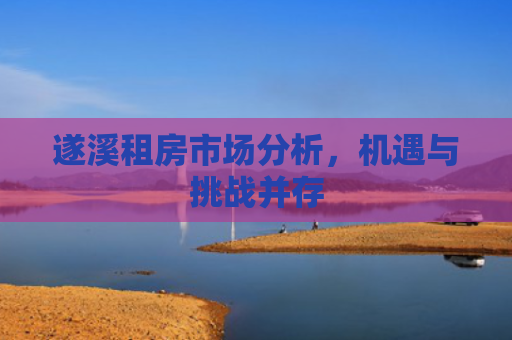 遂溪租房市场分析，机遇与挑战并存