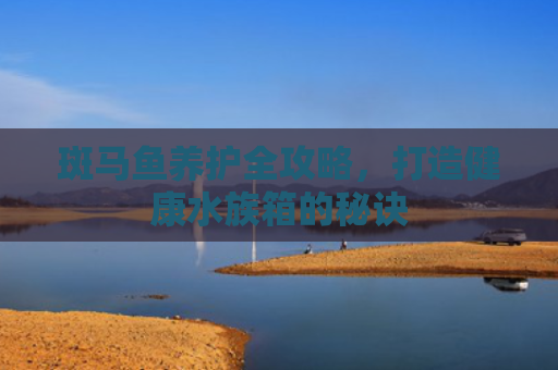 斑马鱼养护全攻略，打造健康水族箱的秘诀