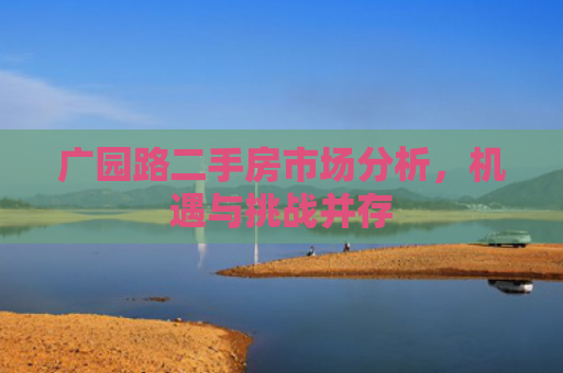 广园路二手房市场分析，机遇与挑战并存