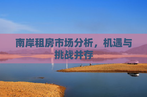 南岸租房市场分析，机遇与挑战并存