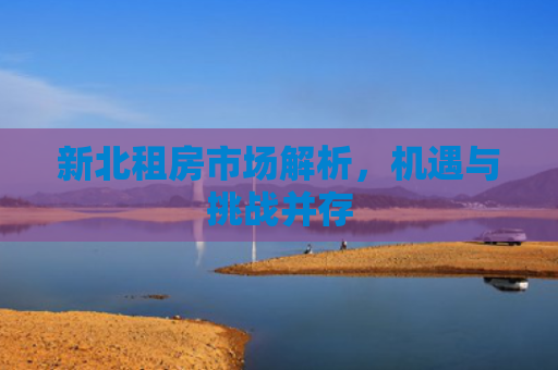 新北租房市场解析，机遇与挑战并存