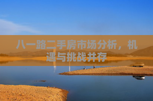 八一路二手房市场分析，机遇与挑战并存