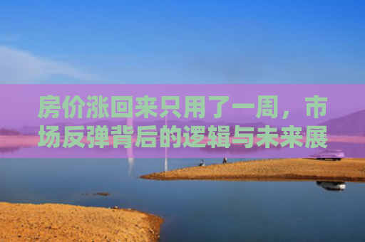 房价涨回来只用了一周，市场反弹背后的逻辑与未来展望