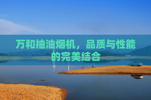 万和抽油烟机，品质与性能的完美结合