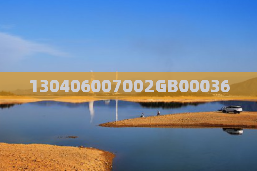 130406007002GB00036