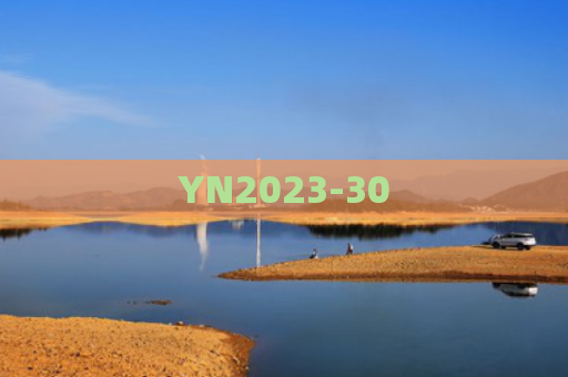 YN2023-30