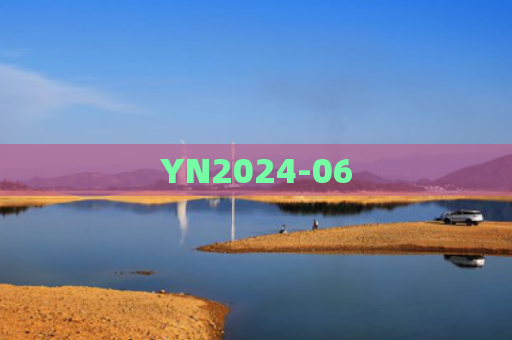 YN2024-06