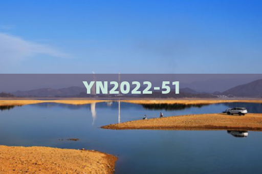 YN2022-51