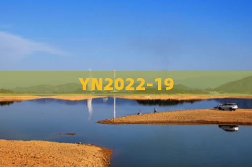 YN2022-19