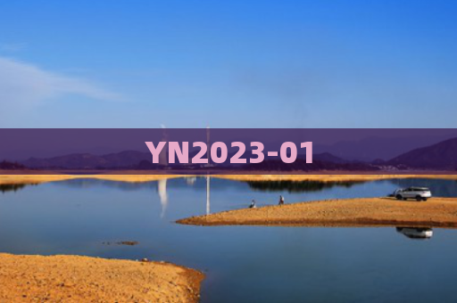 YN2023-01