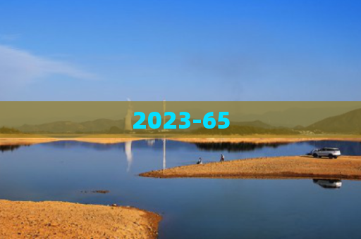 2023-65