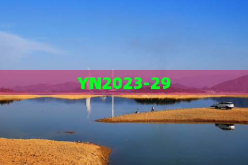 YN2023-29