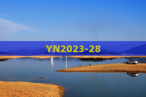YN2023-28