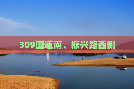 309国道南、振兴路西侧